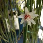 Profile Picture of Sylvia Parsons (@sylviaparsons1957) on Instagram