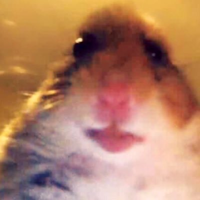 Profile Picture of Alex Gomez-Miele (@GomezMiele) on Twitter