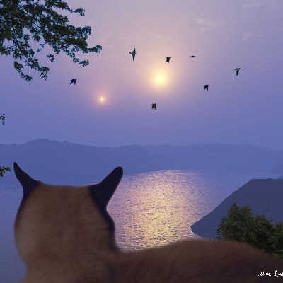 Profile Picture of Steve Lenker (@AldebaranSteve) on Twitter
