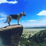 Profile Picture of Jesse Derry (@cfhjesse) on Instagram