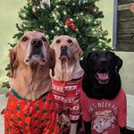 Profile Picture of Shelly Lloyd (@nippilongstockings) on Instagram