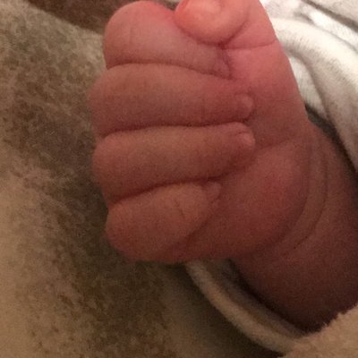 Profile Picture of Hadeel Haddad (@Hadeelhaddad10) on Twitter