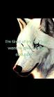 Profile Picture of   Daniel Heavirland... (@guardianwhitewolf) on Tiktok