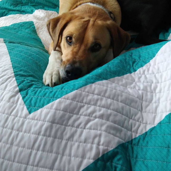 Profile Picture of Autumn Hobbs (@autumns_life) on Tiktok