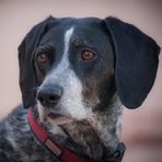 Allen Poling - Facebook Profile Picture of Allen Poling (@allen.poling) on Facebook