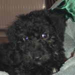 Profile Picture of Josh_Roope. (@josh_roope) on Instagram