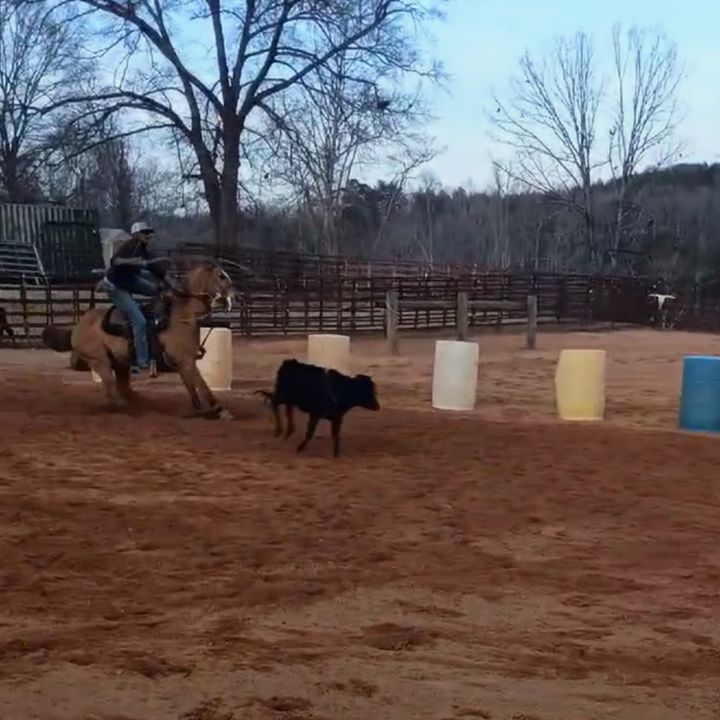 Profile Picture of Shawn (@shawn.tdrbootcamp101) on Tiktok