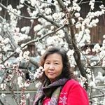 Profile Picture of Yin Ling Chan (@yinling0206) on Instagram