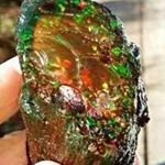 Profile Picture of loren Wagner (@lorenwagner8) on Instagram