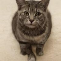 Profile Picture of Glen.Williams0 (@glenslagle008) on Tiktok