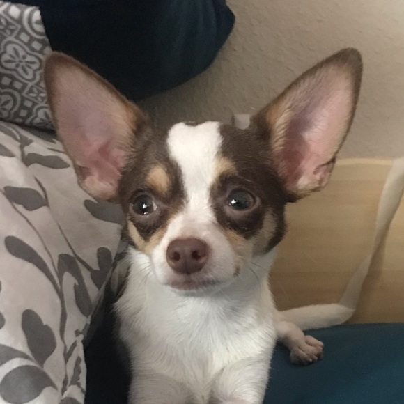 Profile Picture of Jaime Watts (@_jwatts0508) on Poshmark