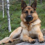 Profile Picture of douglas_widdis4 (@douglas_widdis4) on Instagram