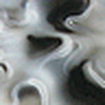 Profile Picture of Robert Fitzgerald (@jwfitzyrunner3) on Flickr