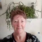 Profile Picture of Dawn Shyrock (@Dawn-Shyrock) on Facebook