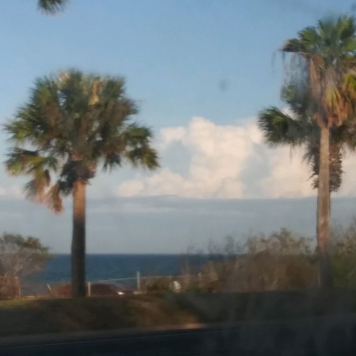 Profile Picture of William (@william_rasmussen1) on Tiktok