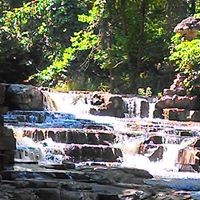 Profile Picture of Tina Grimm (@tina-grimm-3) on Quora