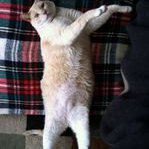 Profile Picture of Lucy Anaya (@lucana6) on Instagram