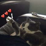 Profile Picture of Ian Blaker (@ian.blaker) on Instagram