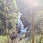 Profile Picture of Sh.m.u Martin Camaj💘💘💘 (@deenisa_sh) on Instagram