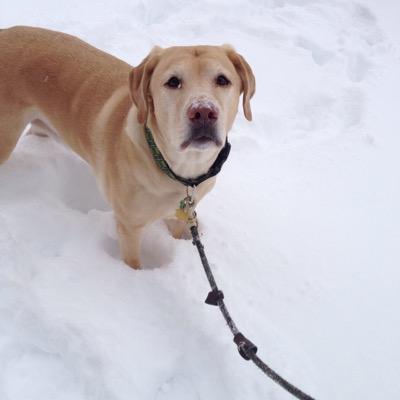 Profile Picture of Josh Kinman (@kinman44) on Twitter