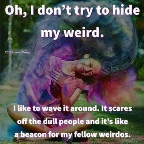 Profile Picture of Mikki Jones (@mikkilarsen1962) on Poshmark