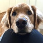 Harvey - Instagram Profile Picture of Harvey (@harveyprestonliu) on Instagram