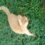 Profile Picture of karah faye hudgens (@koko.faye10) on Instagram