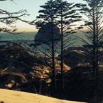 Profile Picture of Cedric Nicholas (@mrcedricnicholas) on Instagram