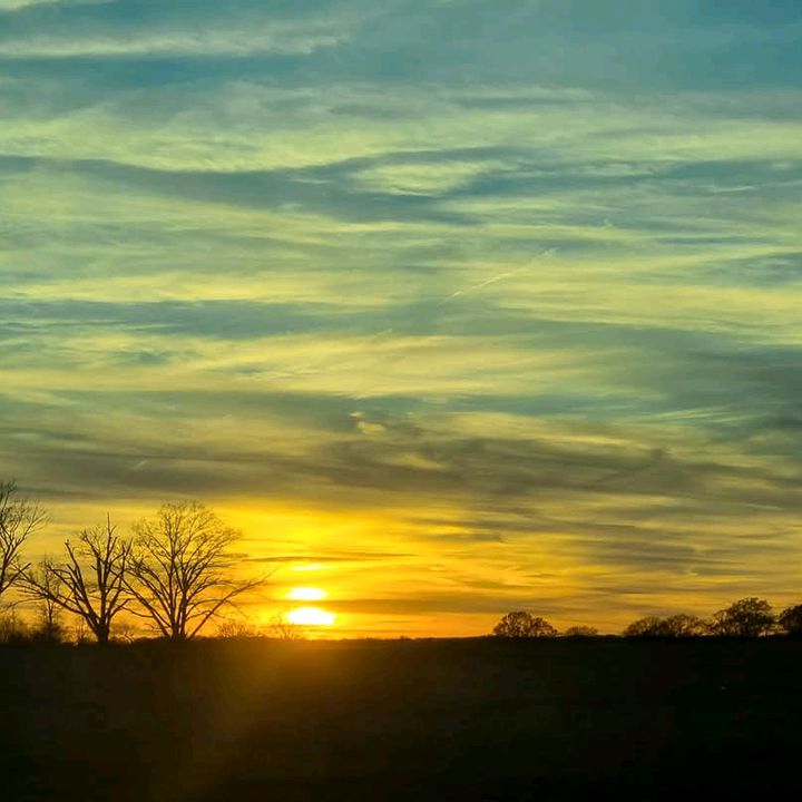 Profile Picture of Bella (@traceystrawn) on Tiktok