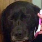 Profile Picture of Nicholas Levy (@nicholas.levy) on Instagram