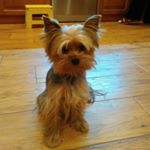 Profile Picture of mìša (@michaelbezdek023) on Instagram