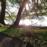 Profile Picture of Brian Meagher (@bri_guy_113) on Instagram