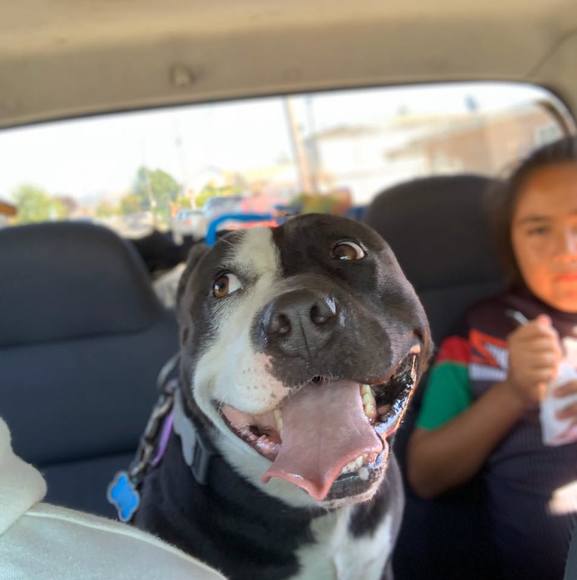 Profile Picture of Bryan Benavides (@bbenavides123) on Poshmark