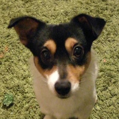 Profile Picture of Adele Wilkinson (@Adelew87) on Twitter