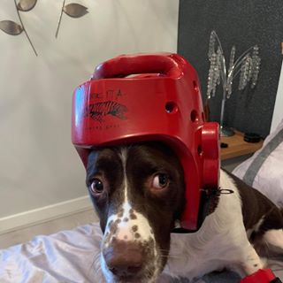 Profile Picture of Ben Jobling (@ben.jobling.96) on Facebook