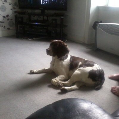 Profile Picture of Tracy Monteith (@tracxx19) on Twitter