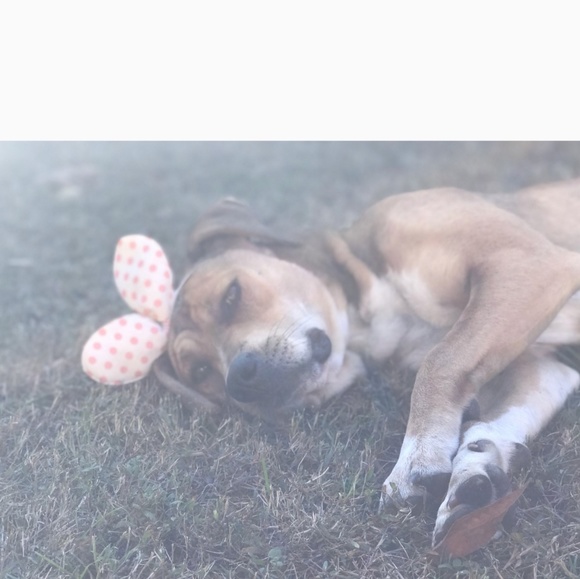 Profile Picture of Peyton Rivette (@peytonrivette) on Poshmark