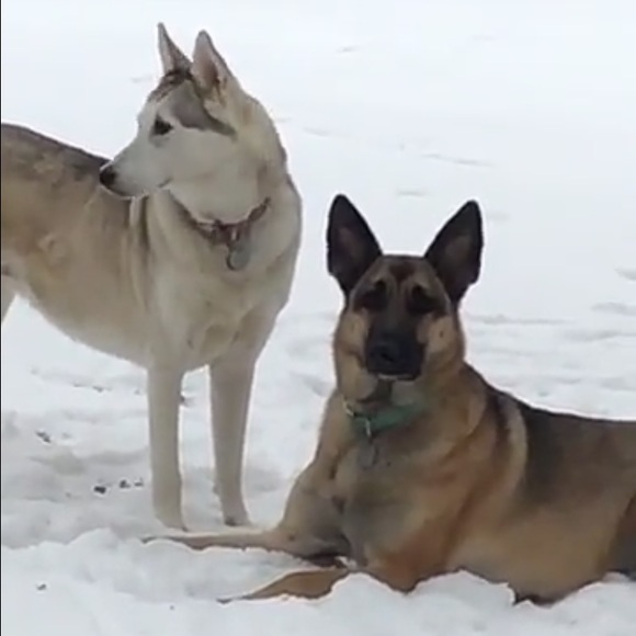 Erica Menhart - Poshmark Profile Picture of Erica Menhart (@ericafae) on Poshmark