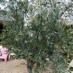 Profile Picture of Marc Lafarge (@marc.lafarge.982) on Facebook