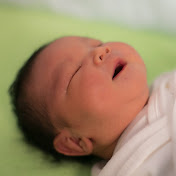 Profile Picture of Evan Lim (@evanlim6785) on Youtube