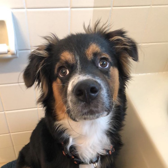 Conor Thompson - Poshmark Profile Picture of Conor Thompson (@conort727) on Poshmark