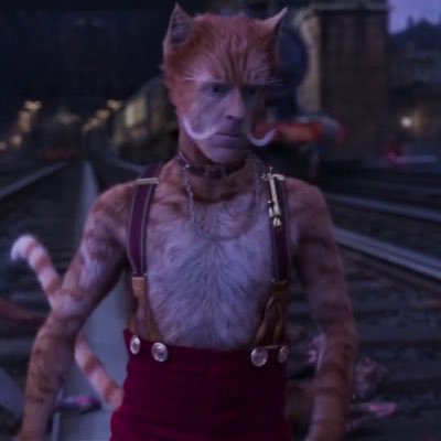 Profile Picture of Skimbleshanks The Railway Cat For Michelle Wu (@skimble4ed) on Twitter