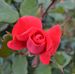 Profile Picture of Marc Dyer (@marc.dyer.165) on Facebook