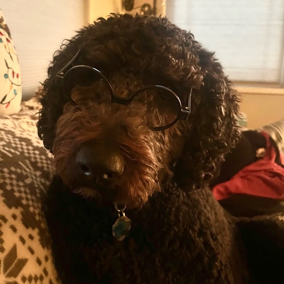 Profile Picture of Carla Hunt (@carlahunt240) on Poshmark