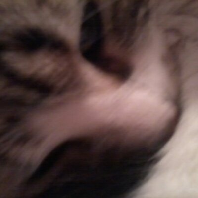 Profile Picture of Thomas Tessier (@ThomasTessier44) on Twitter