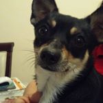 Profile Picture of juan carlos bonadies (@bonadiesjuancarlos) on Instagram