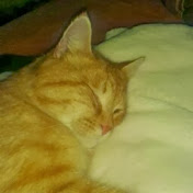 Profile Picture of Kevin Vestal (@kevinvestal6764) on Youtube