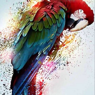 Profile Picture of Ben Conover (@Ben444Ben) on Twitter