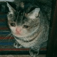 Profile Picture of Edward Morgan (@edward-morgan-79) on Quora