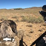 Profile Picture of Eric Boardman (@xxmrbige) on Instagram